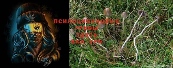 МДМА Заводоуковск